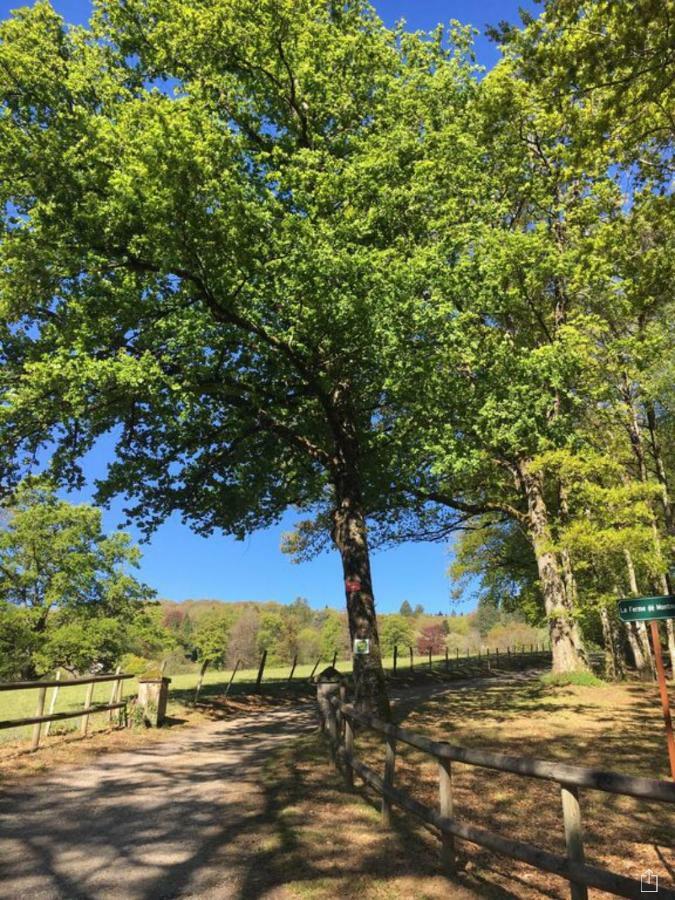 Domaine De Montmery Sa Piscine Son Jardin Ses Espaces Ambazac 外观 照片